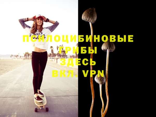 прущие крисы Абинск