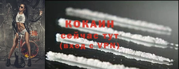 a pvp Абаза