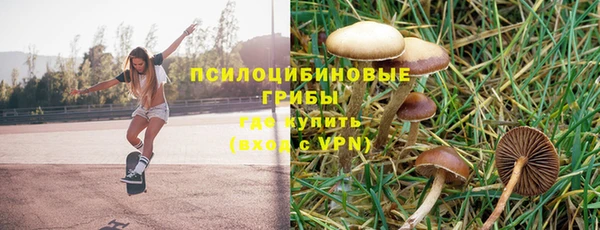 прущие грибы Нягань