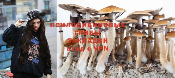 соль курить ск Алзамай