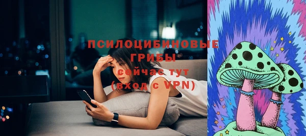 прущие крисы Абинск