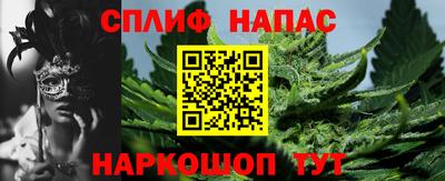 стаф Ярославль