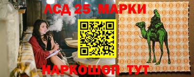 стаф Ярославль
