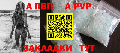 стаф Ярославль