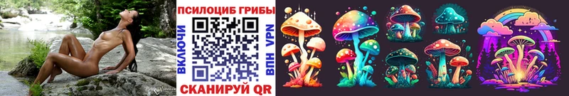 Галлюциногенные грибы Psilocybe  цена наркотик  Балаково 
