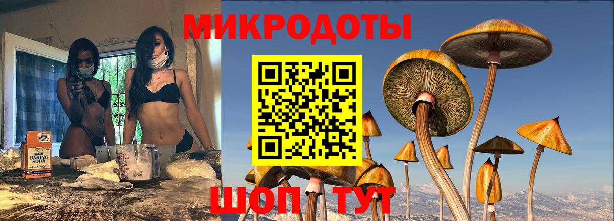 Псилоцибиновые грибы мицелий  Вход с VPN  где можно купить наркотик  Псилоцибиновые грибы мицелий  Балаково 